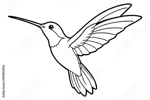 hummingbird hovering tiny body fast wings line art vector silhouette on a white background