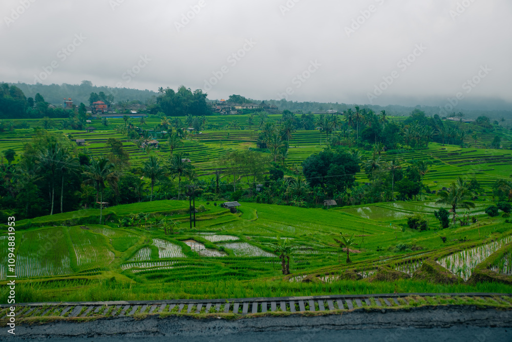 Obraz premium Aerial view of Mancingan rice fileds in Mancingan village, Ubud, Bali, Indonesia