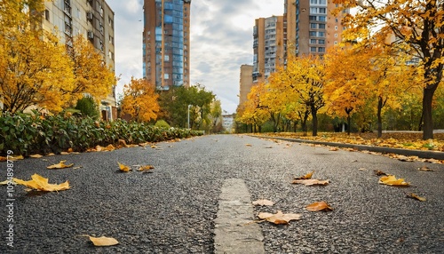 Empty road in city in autumn time  photo
