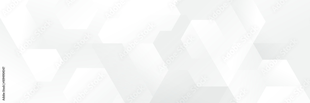 Fototapeta premium Abstract white Geometric banner design background.