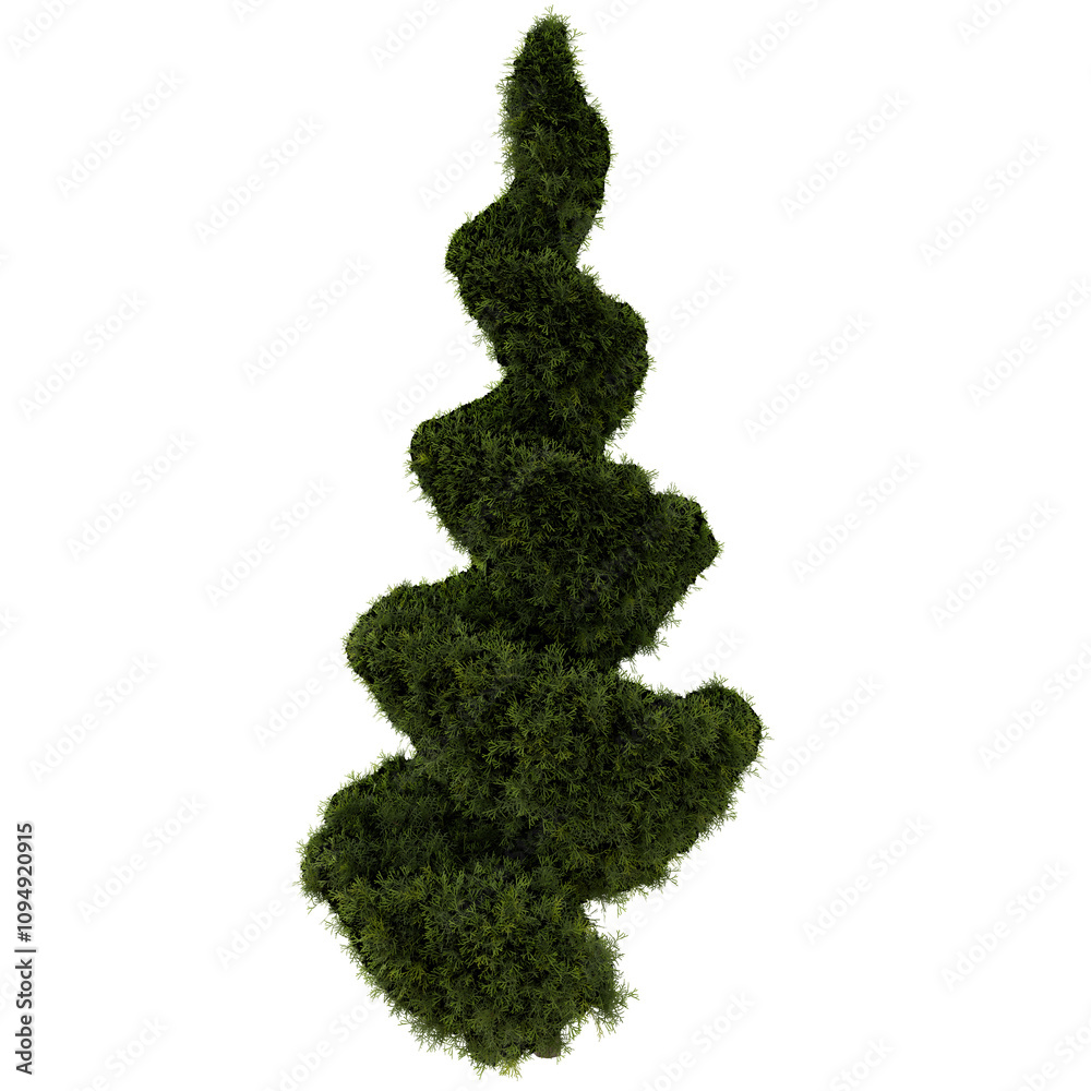Outdoor Plant