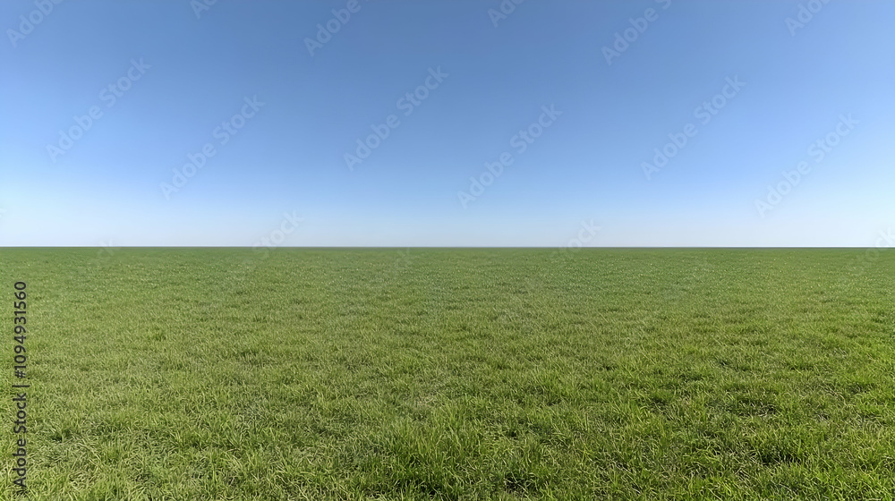 Vast Green Grassland Background Image