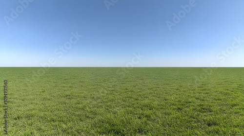 Obraz na płótnie Vast Green Grassland Background Image w salonie