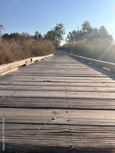 trail bridge