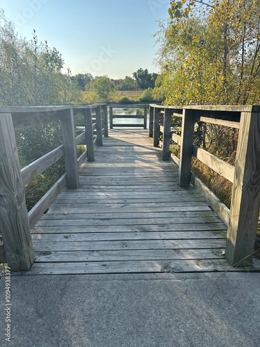 bridge