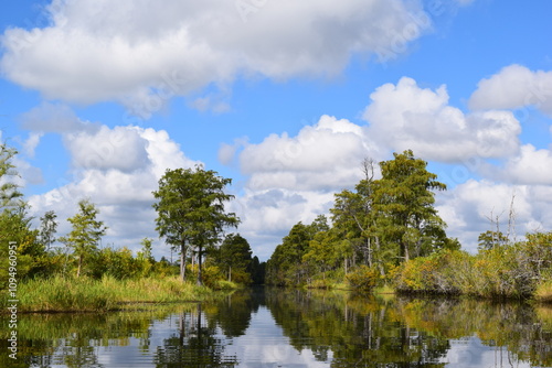 Clouds over the Okefenokee Swamp Georgia