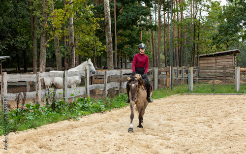 A young woman wearing a red sweater riding a Lusitano horse in an outdoor arena, surrounded by paddocks and trees in a free-range stable. Another horse looks over the paddock fence.  photo