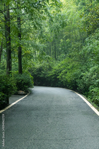 View of Panda Valley path in Dujiangyan, Chengdu, Sichuan, China photo