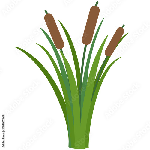 Reed cartoon hand drawn 