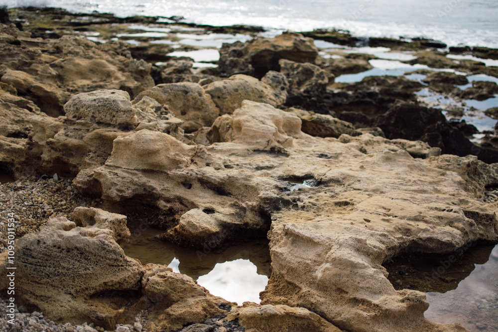 a textured landscape of wet, rocky terrain with shallow pools of water, surface appears rugged and uneven, showcasing natural erosion patterns a textured landscape of wet, rocky terrain with shallow pools of water, surface appears rugged and uneven, showcasing natural erosion patterns