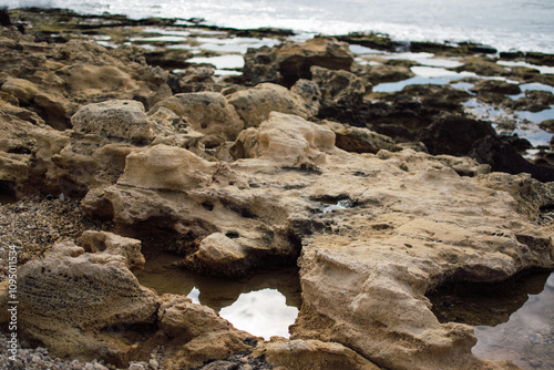 a textured landscape of wet, rocky terrain with shallow pools of water, surface appears rugged and uneven, showcasing natural erosion patterns