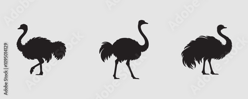 ostrich silhouette bundle vector illustration