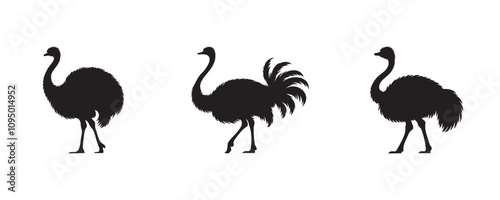 ostrich silhouette bundle vector illustration photo