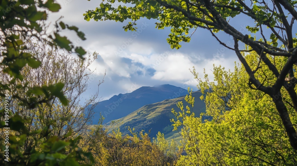 A mountain range is visible in the distance, with a cloudy sky above A mountain range is visible in the distance, with a cloudy sky above