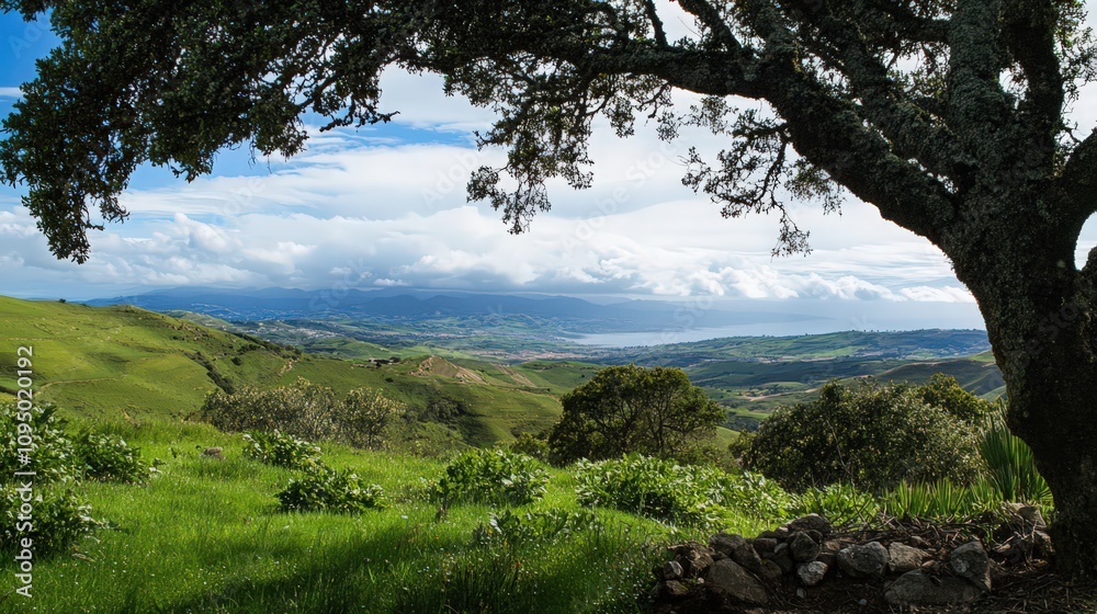 A tree is in the foreground of a lush green field A tree is in the foreground of a lush green field