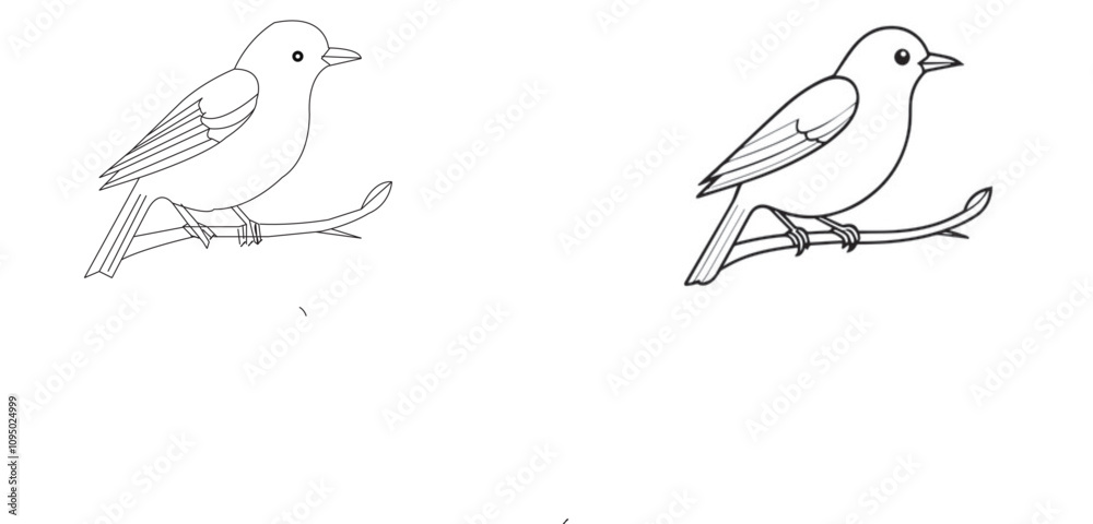 Obraz premium BIRDS SET 