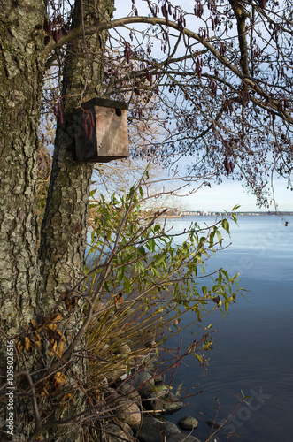 Wooden birdhouse on a tree on the lake shore on an autumn day, lake Mälaren in Västerås, Sweden photo