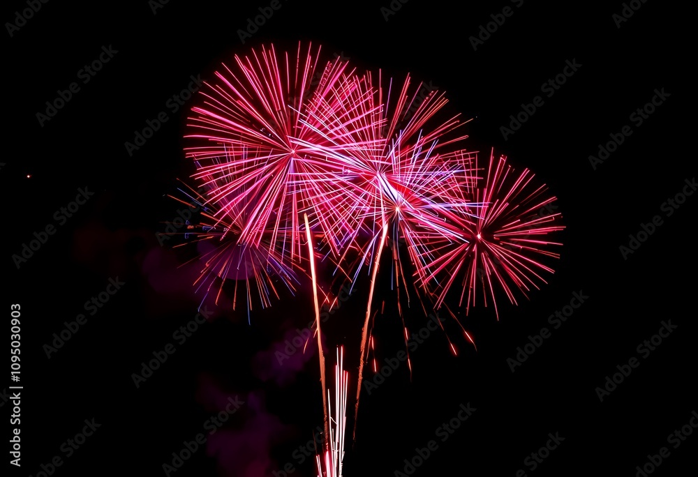 Vibrant pink fireworks exploding in the night sky. Vibrant pink fireworks exploding in the night sky.