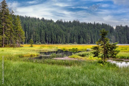 Tableau sur toile Big Arbersee in the Bavarian Forest National Park