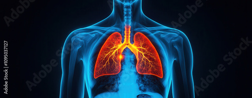 Artificial intelligence in medical detection. Anatomical illustration of human lungs with glowing details, showcasing respiratory system and bronchi.