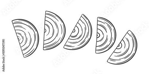 Half cut onion slices. Vector illustration of onion. Outline sketch onion