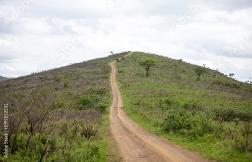 African savannah landscape, dirt road going up the green grass hill, Hluhluwe park, South Africa photo