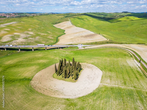 The cypresses of Val d'Orcia drone view in Tuscany of Italy  photo