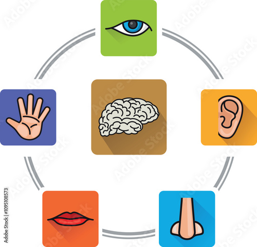 Five senses concept. Human perception color illustration
