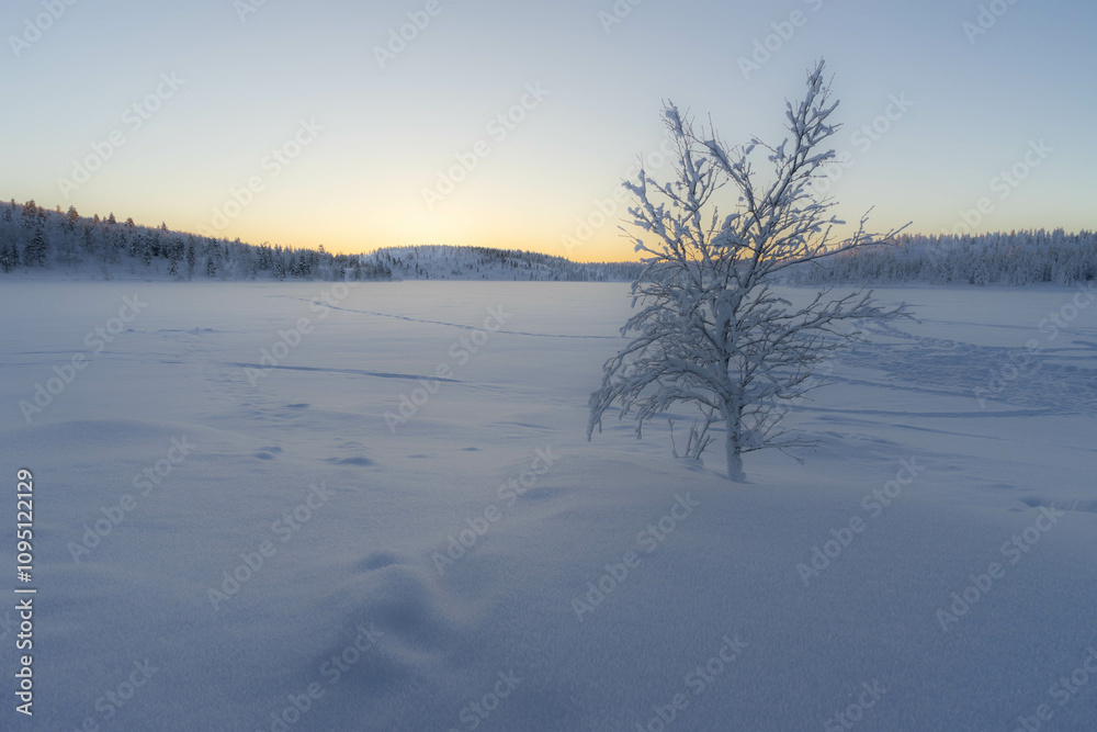 Frozen lake Frozen lake