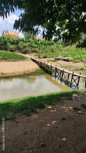 wooden bridge in the forest