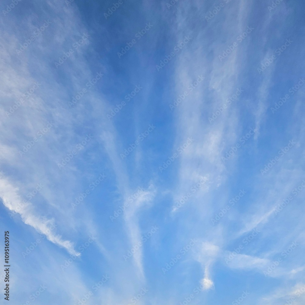Expansive blue sky dotted with wispy white clouds. Expansive blue sky dotted with wispy white clouds.