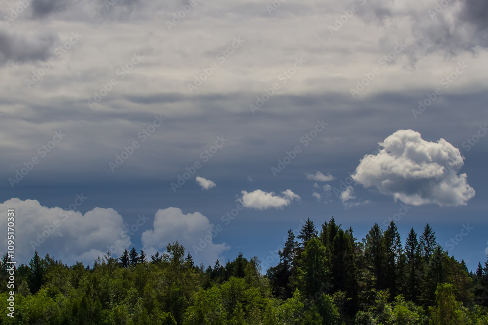 Meteorology, Forest and sky after a thunderstorm. It's still raining