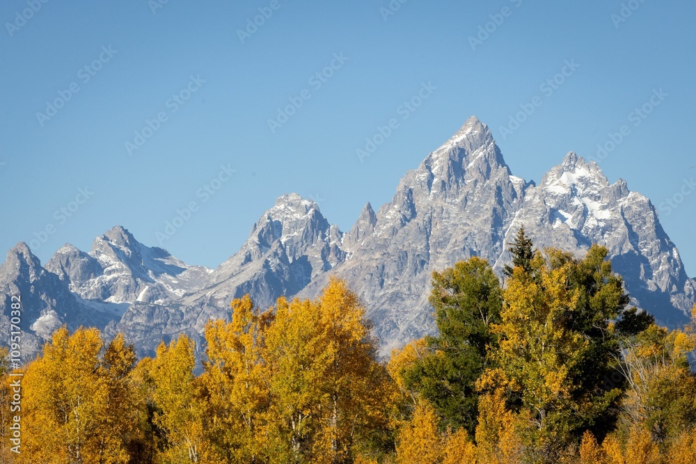 Fall colours in Grand Teton National Park Fall colours in Grand Teton National Park