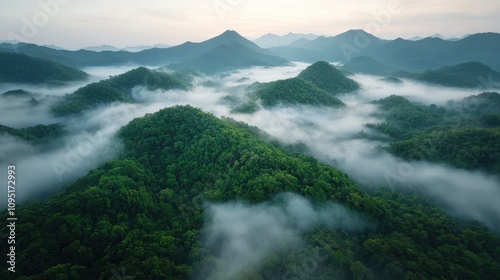 Serene Misty Mountain Landscape Aerial View of Lush Green Hills and Clouds