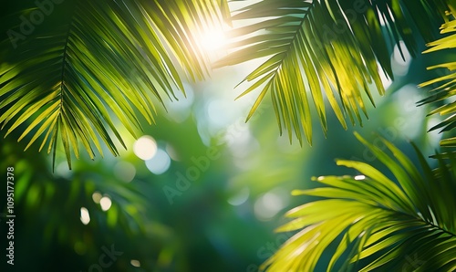 Perspective Through Leaves, A close-up shot from beneath the palm leaves
