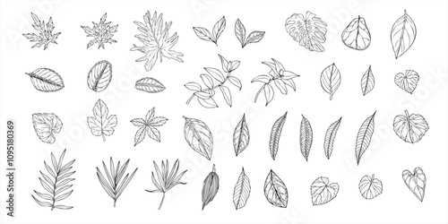Set of tropical leaves vector isolated illustration painted by black inks. Dieffenbachia, Ficus, calathea, monstera, ctenanta foliage realistic graphic sketch. Floral elements for design