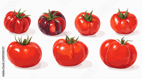 Vector clipart illustration set of rustic heirloom tomatoes isolated flat tomato on a white background