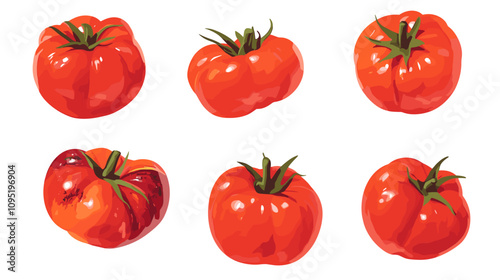 Vector clipart illustration set of rustic heirloom tomatoes isolated flat tomato on a white background