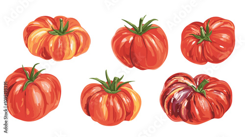 Vector clipart illustration set of rustic heirloom tomatoes isolated flat tomato on a white background