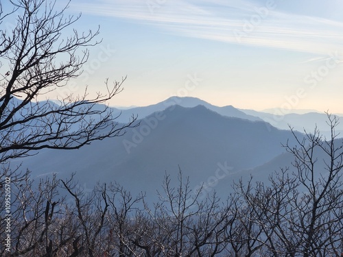 Silhouette of a tree against the background of mountains. Beautiful Mountain with mist. nature background design photo