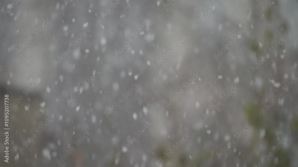 Snowfall blankets the ground and surrounding trees in a peaceful winter landscape filled with gentle flakes falling softly from the sky Snowfall blankets the ground and surrounding trees in a peaceful winter landscape filled with gentle flakes falling softly from the sky