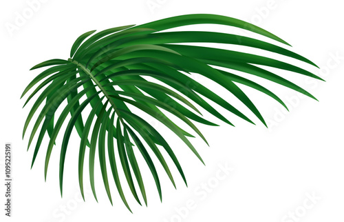 Summer tropical composition with palm leaves and exotic plants. Exotic botanical design with jungle plants for banner, poster. Vector illustration