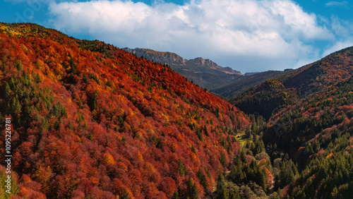 Golden Leaves and Mountain Breezes: Autumn in Moeciu