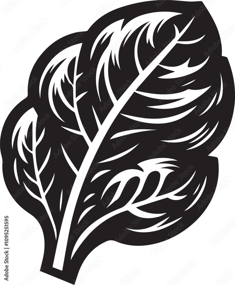 Spinach vector illustration silhouette on white background Spinach vector illustration silhouette on white background