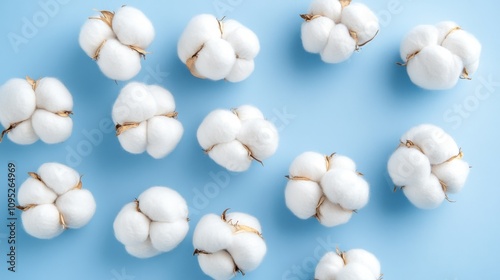 Ripe White Cotton Arranged in a Thoughtful Flatlay Against a Serene Light Blue Backdrop