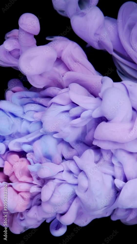 An Abstract Purple and Pink Ink Blot Set Against a Striking Black Background Displaying Creativity An Abstract Purple and Pink Ink Blot Set Against a Striking Black Background Displaying Creativity