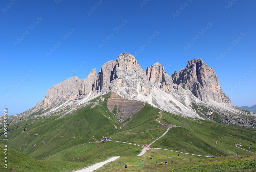 Fototapeta premium mountain group of Sasso Lungo with green meadow in the European Alps in the DOLOMITES group