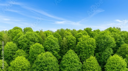 To be sustainable, we must aim for net zero carbon, adopt carbon-negative strategies, protect forests, and support the diversity of nature and biodiversity.