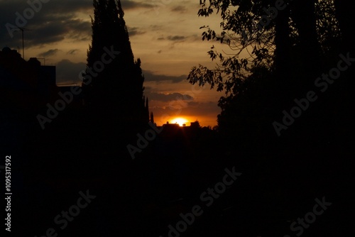 sunset