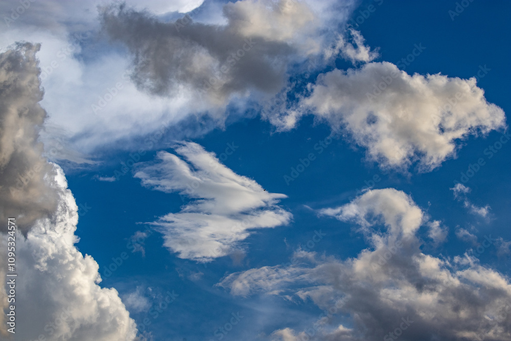 blue sky with white clouds and storm clouds of different shapes with some shapes that resemble animals number 2